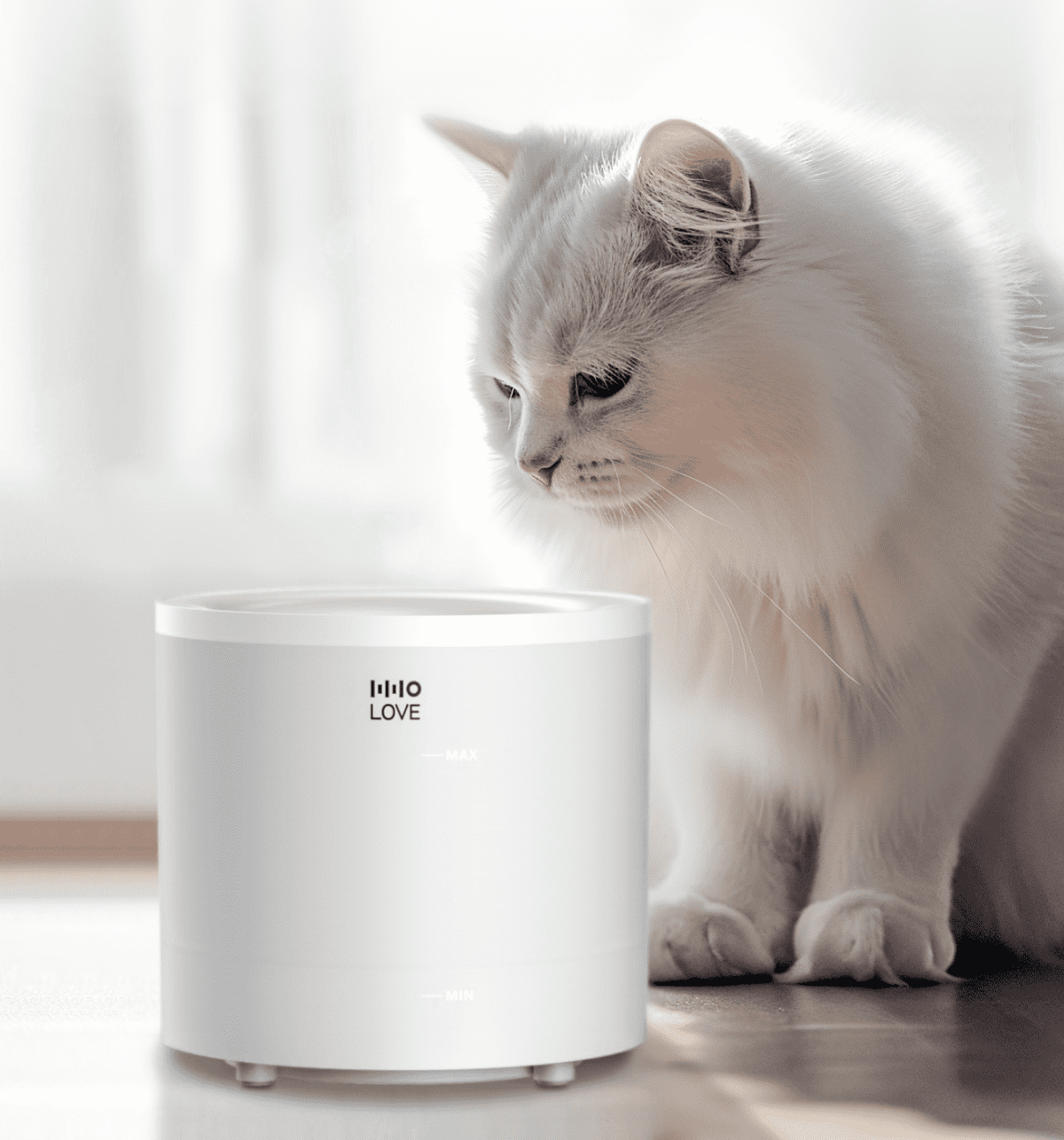 7 Signs Your Cat May Not Be Drinking Enough Water This Summer