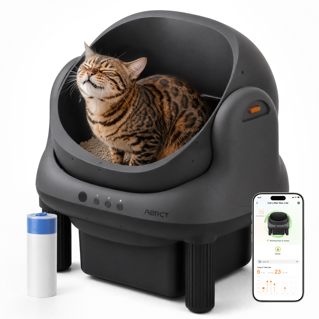HHOLOVE Open-Top L1 Self-Cleaning Cat Litter Box | Smart Pet Care