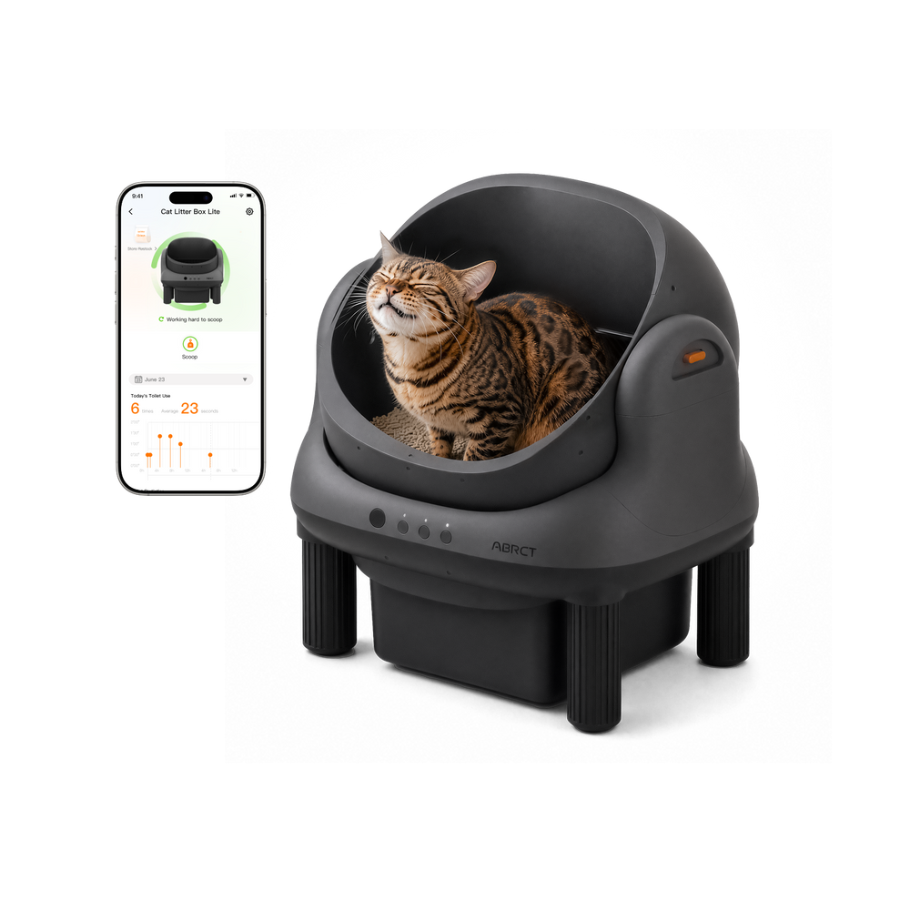 Open-Top  Litter Box