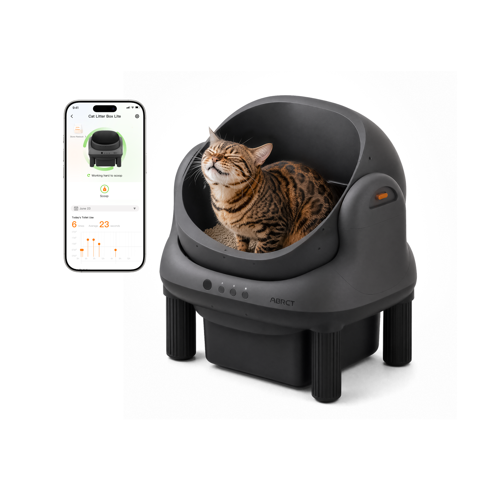 Open-Top  Litter Box