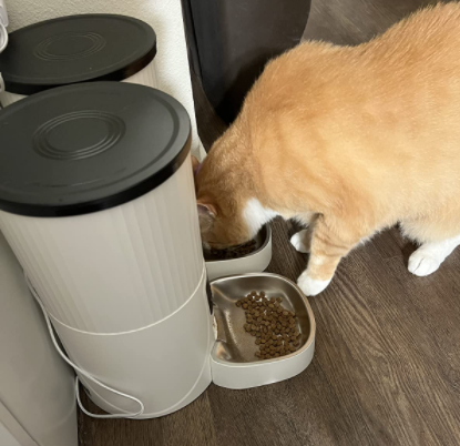 photo from customer review of HHOLOVE Smart Feeder