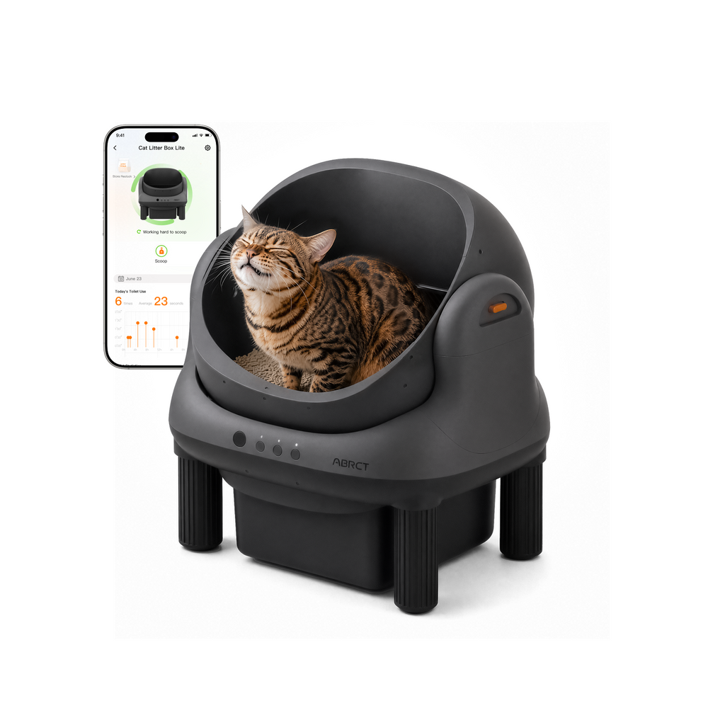 Open-Top Litter Box
