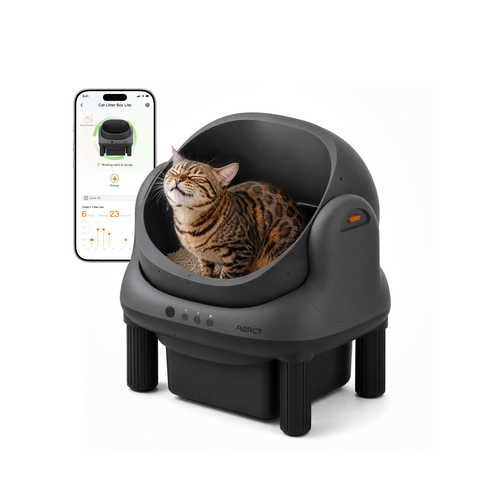 Open-Top Litter Box
