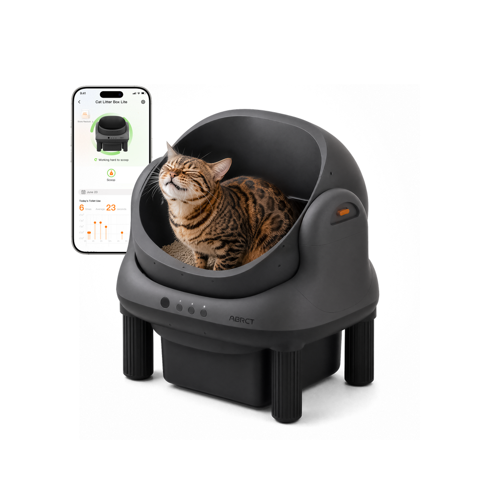 Open-Top Litter Box