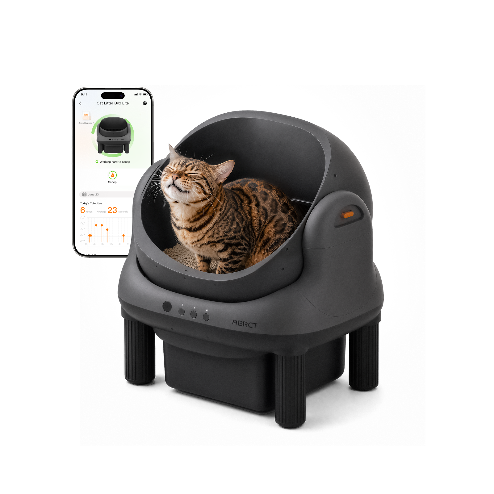 Open-Top Litter Box
