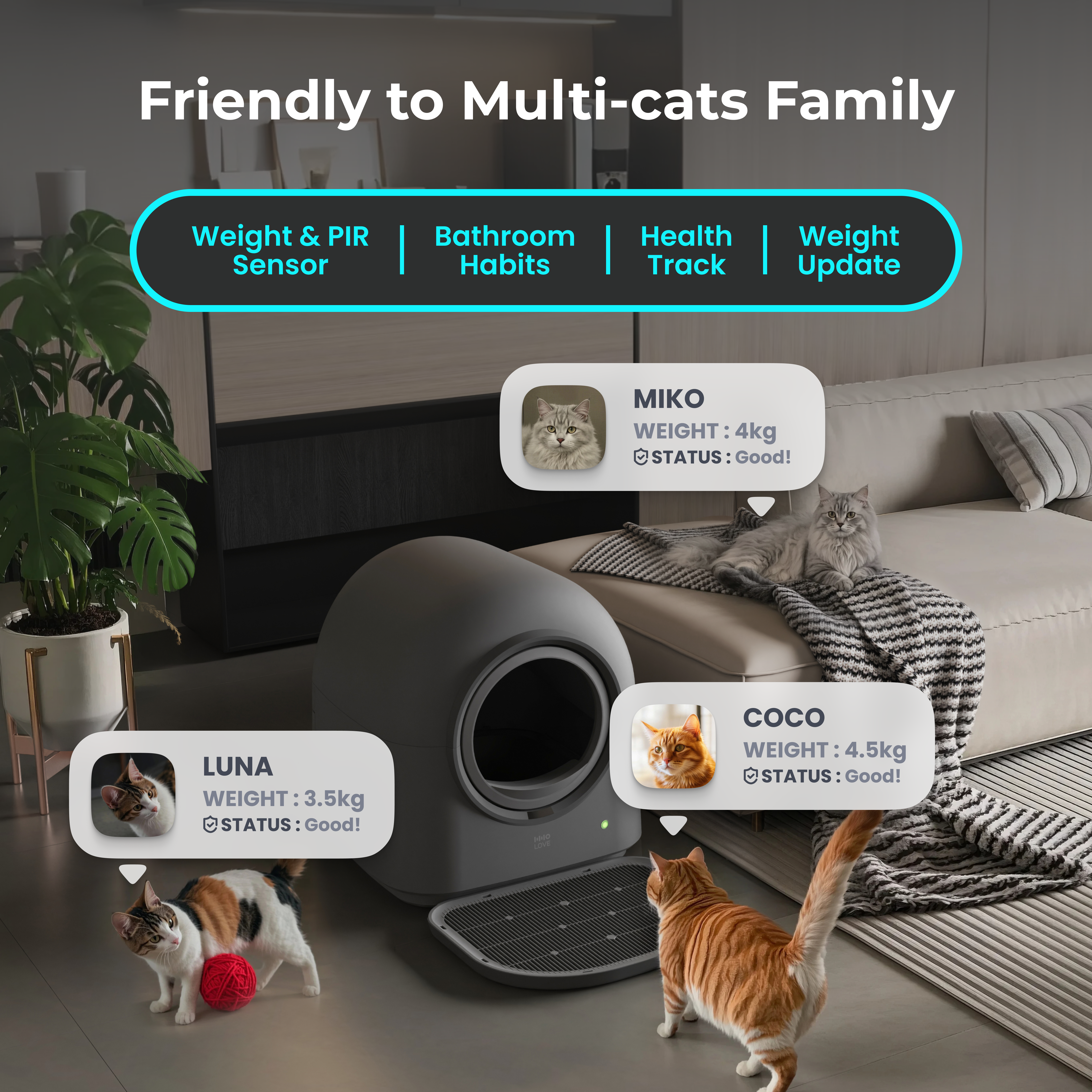 HHOLOVE Automatic Cat Litter Box Pro（Dark Grey）