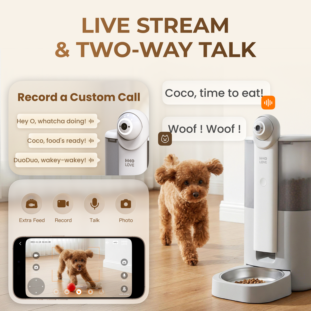 YUNO 360° AI Vision Pet Feeder AI-Powered Feeding | Real-Time Monitoring | Smart Pet Recognition | Remote Companionship