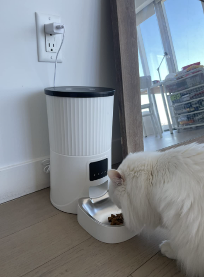 photo from customer review of HHOLOVE Smart Feeder