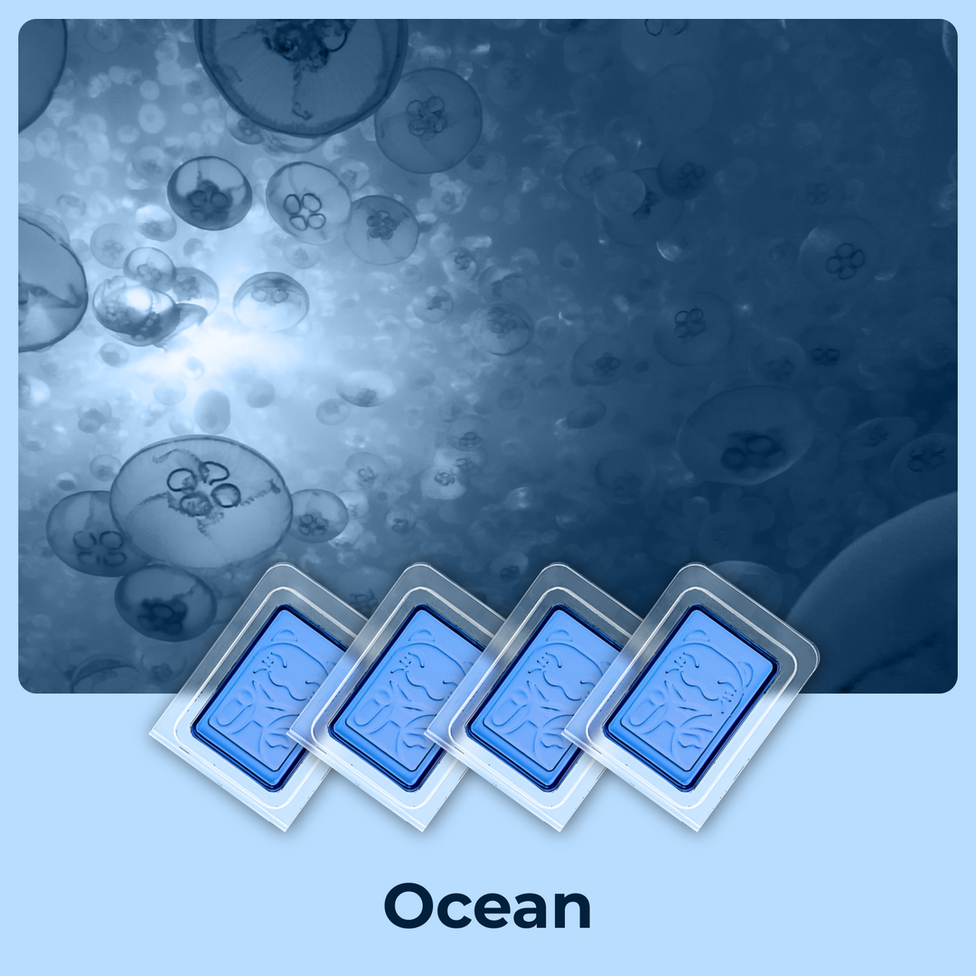 Deodorizer 4-Pack for Self Cleaning Cat Litter Box