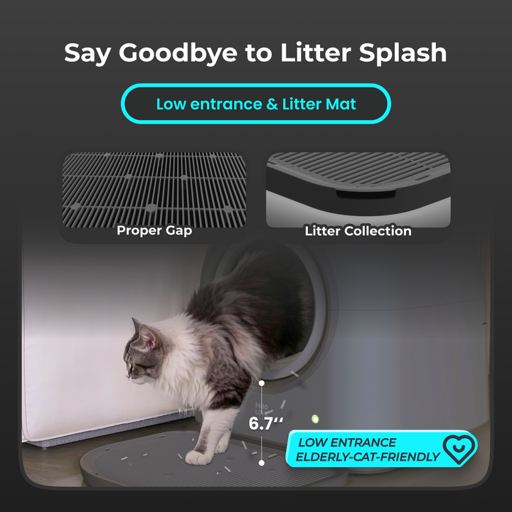 HHOLOVE Automatic Cat Litter Box Pro（Dark Grey）