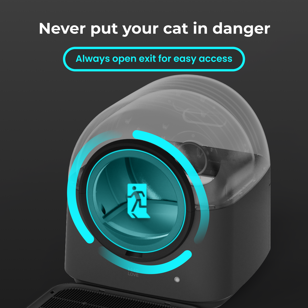 HHOLOVE Automatic Cat Litter Box Pro（Dark Grey）