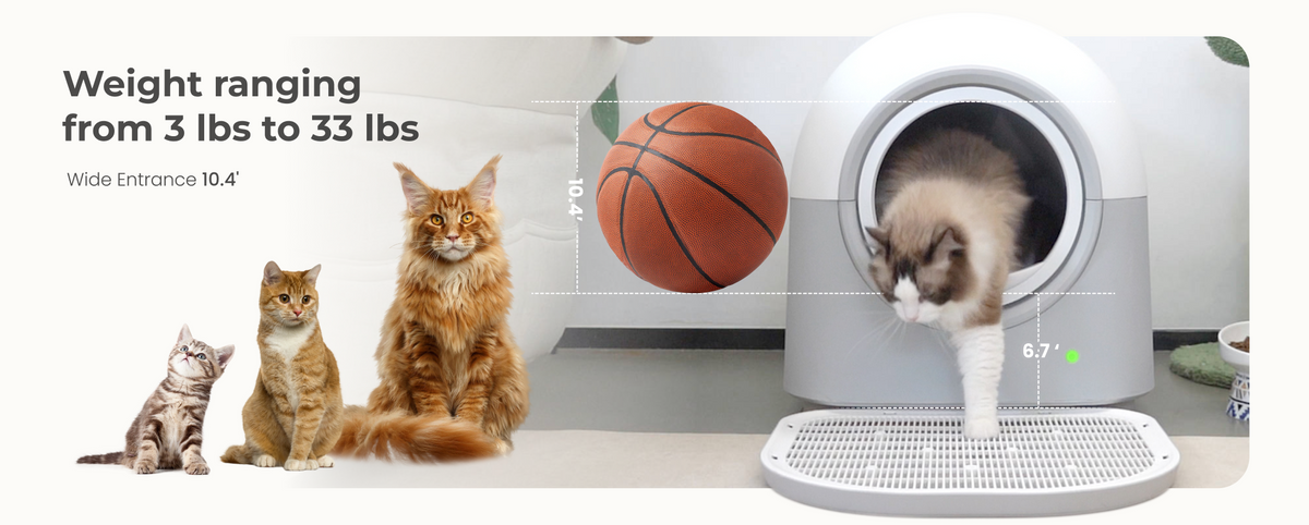 Automatic Self-Cleaning Cat Litter Box Pro White | HHOLOVE