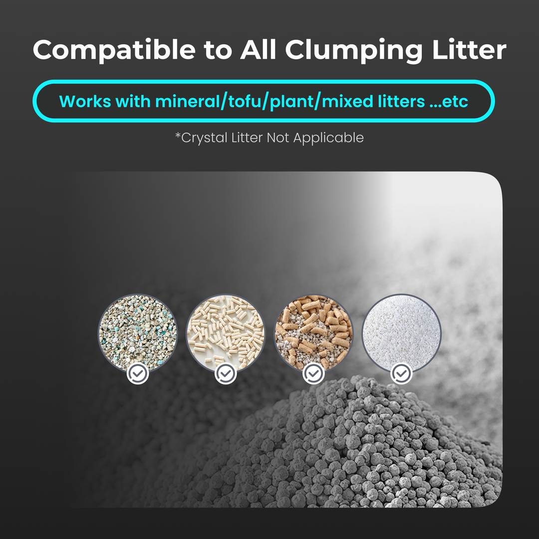 HHOLOVE Automatic Cat Litter Box Pro（Dark Grey）