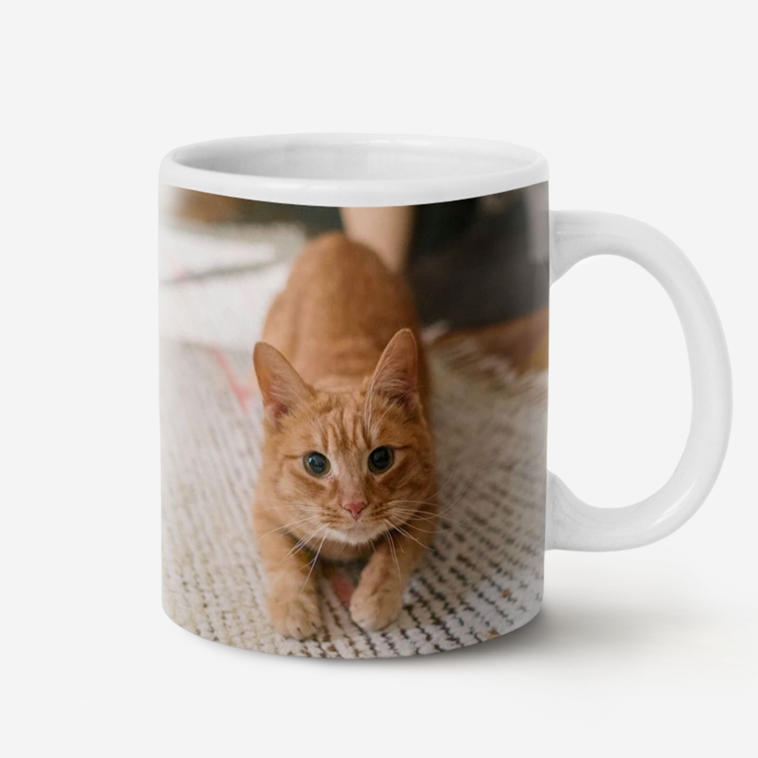 Custom Pet Mug Cup