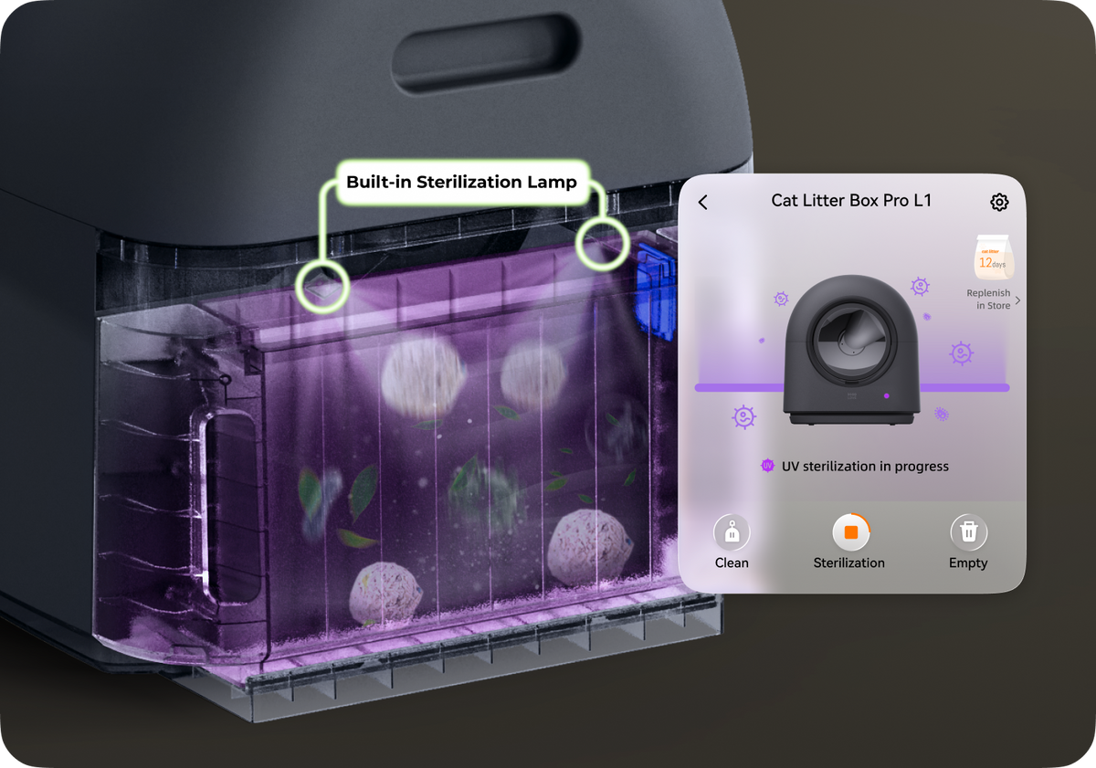 Purification-Tech
Starts Every 6 Hrs