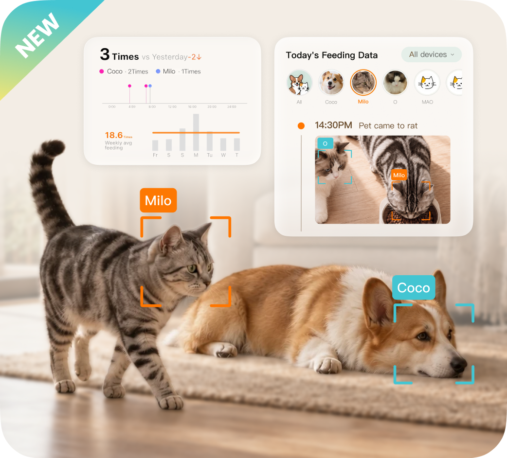 Know each pet.
Track every meal.