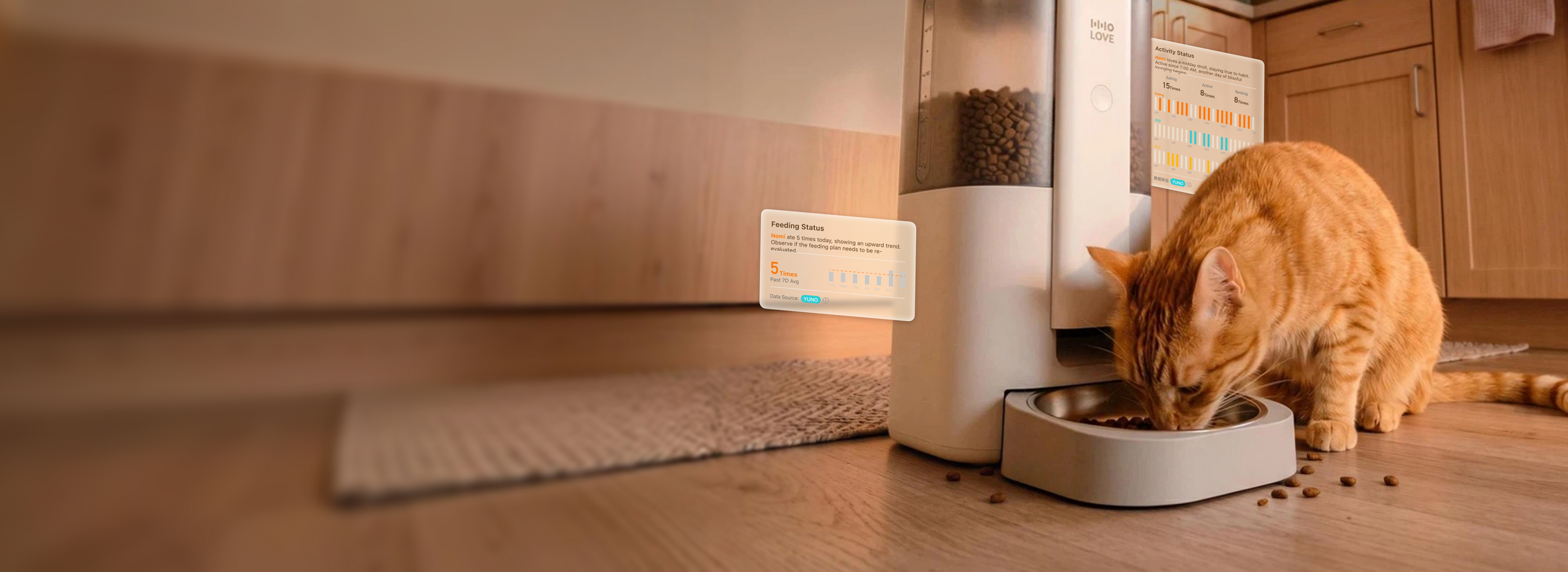 Personalized Feeding Plans