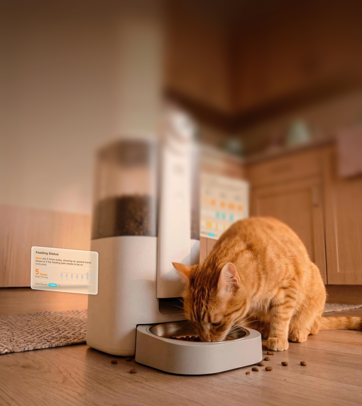 Personalized Feeding Plans