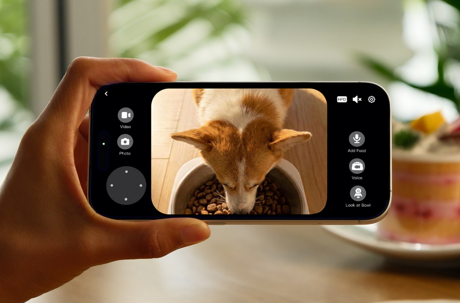 360° View, Anytime