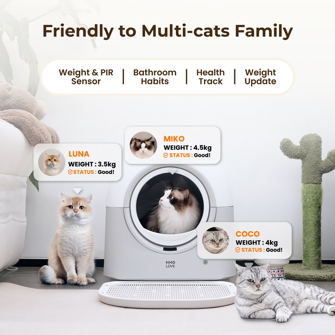 HHOLOVE Self-Cleaning Cat Litter Box Pro