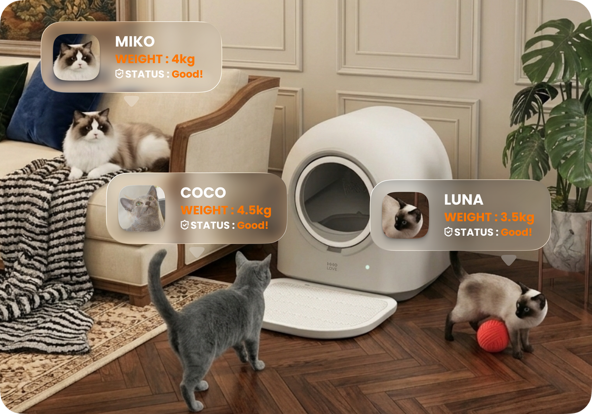 Ideal für Haushalte mit mehreren Katzen