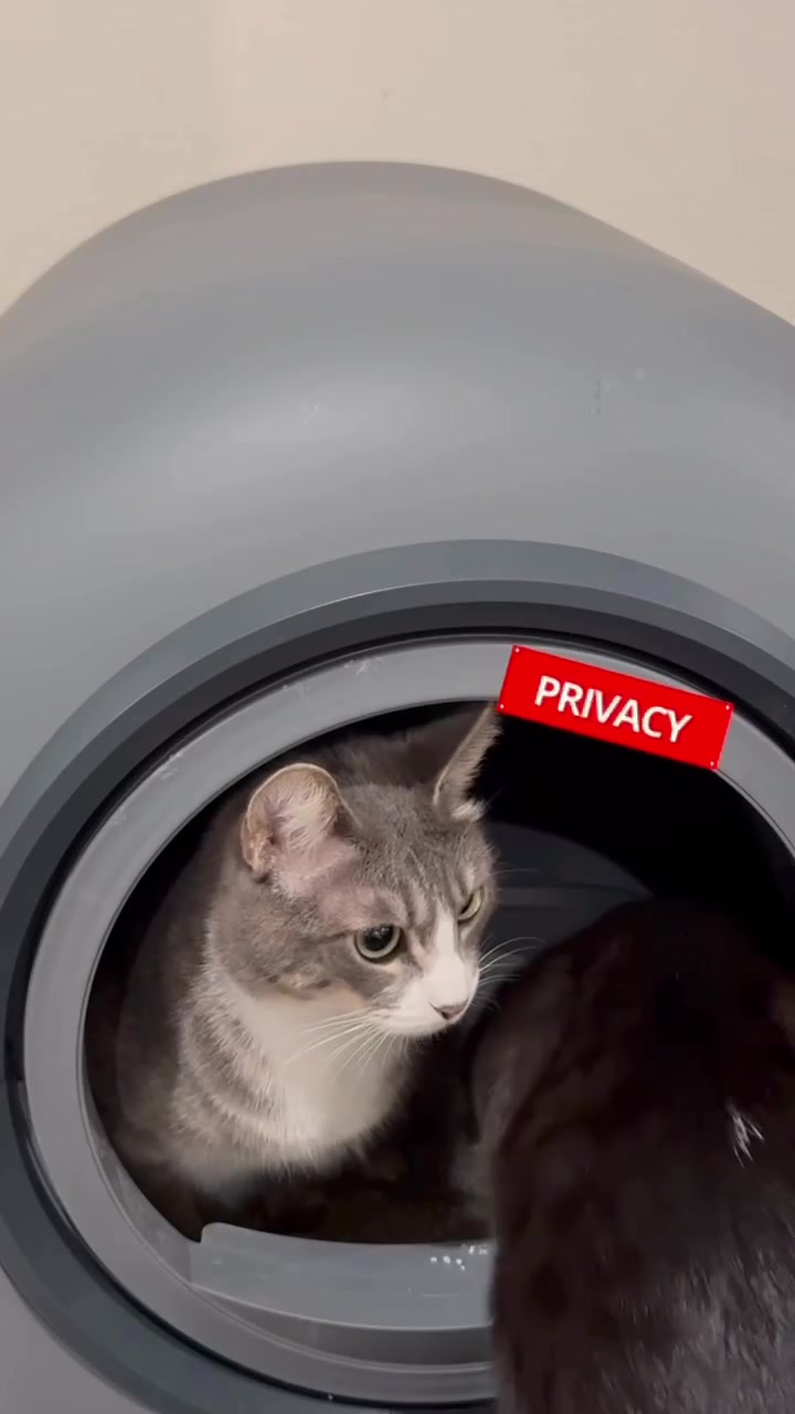 @soccercatmom