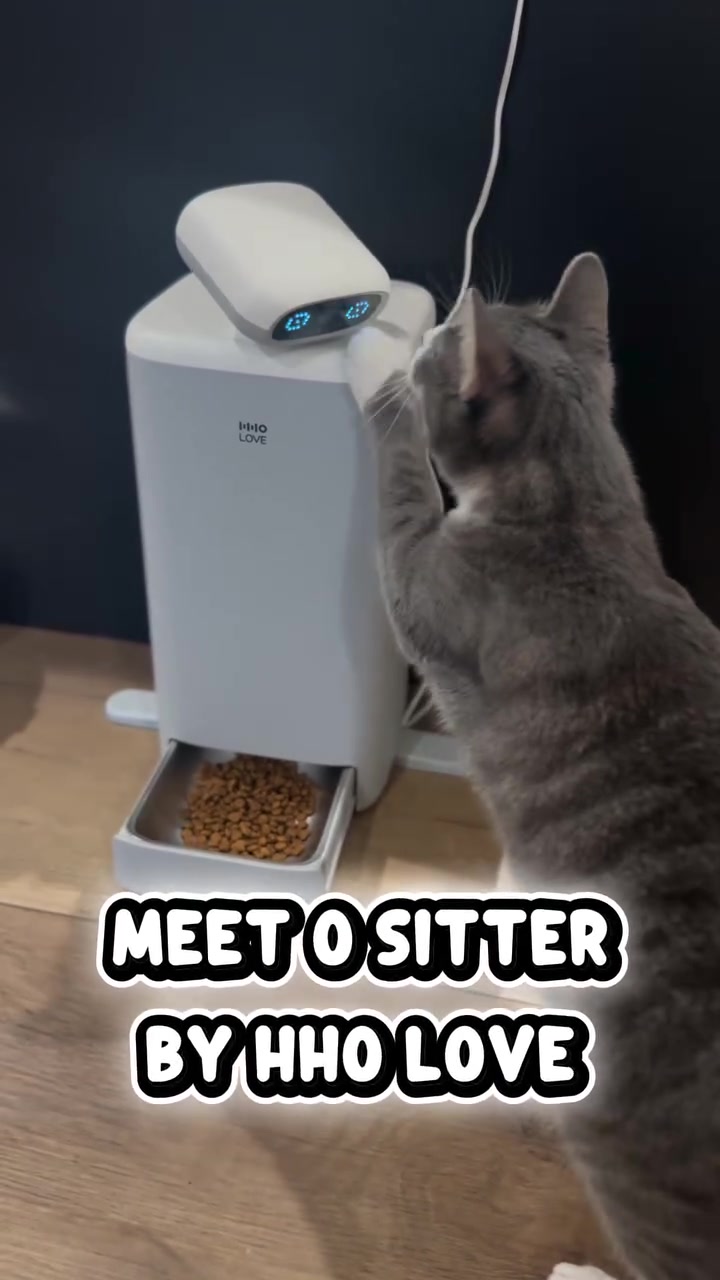 @soccercatmom
