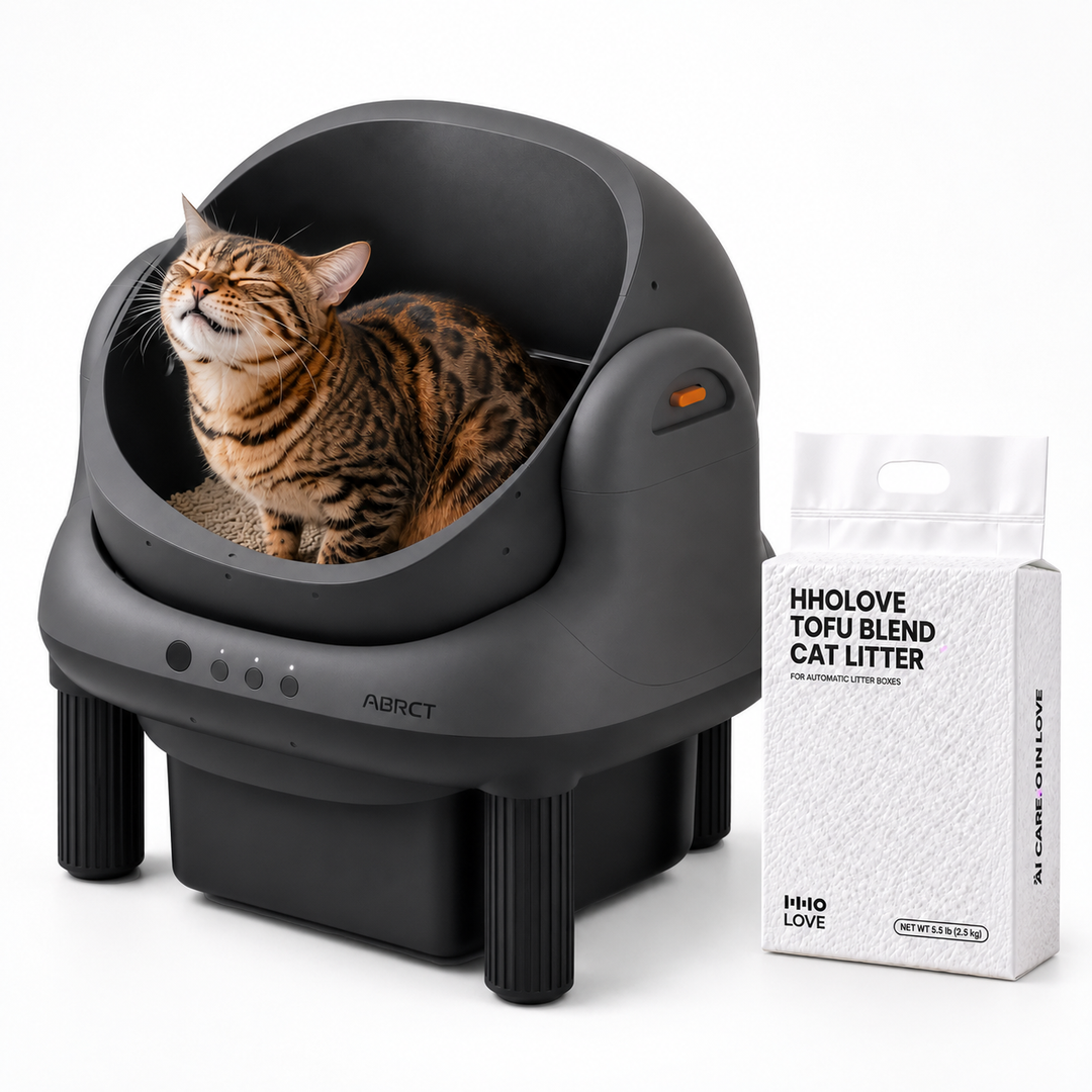 HHOLOVE L1 Starter Black — bundle main image