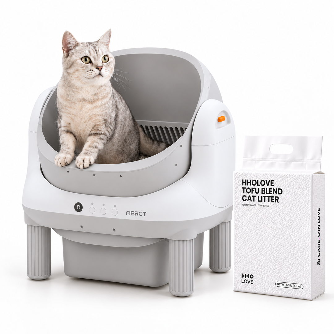 HHOLOVE L1 Starter — bundle main image
