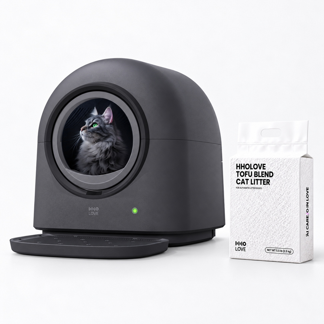HHOLOVE Pro Starter Grey — bundle main image