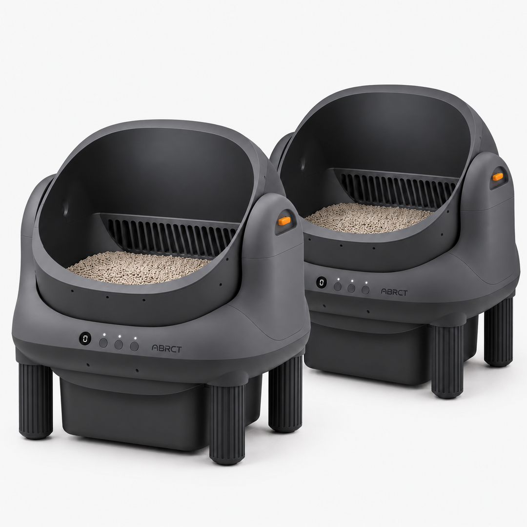 HHOLOVE L1 Double Black — bundle main image
