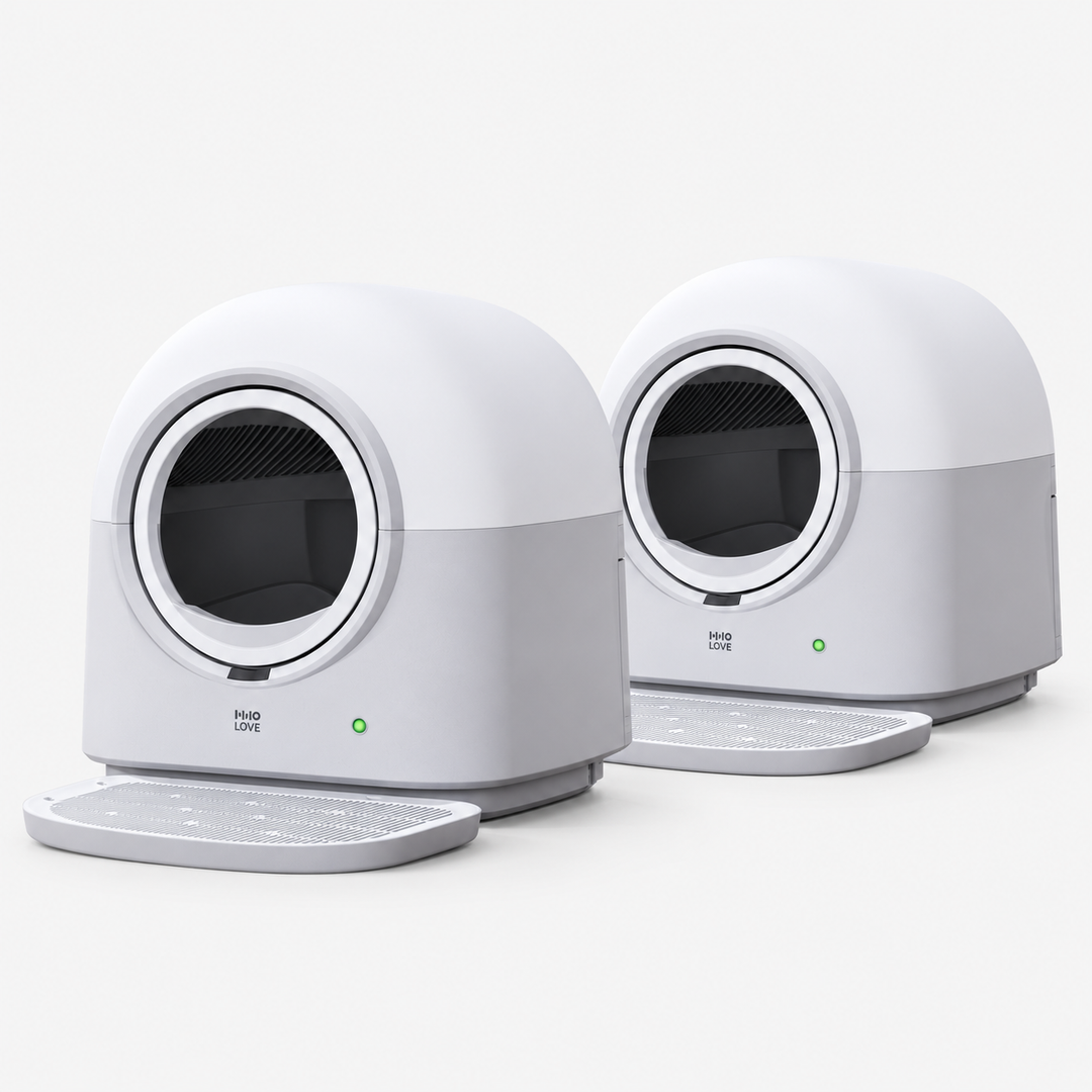 HHOLOVE Pro Double White — bundle main image