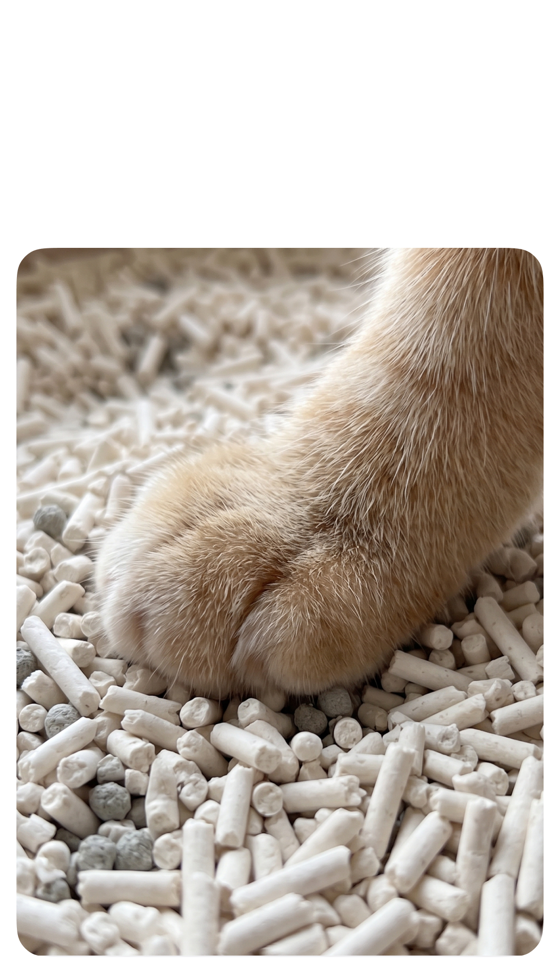 Gentle on paws with less tracking