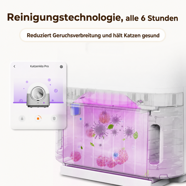HHOLOVE Pro white product gallery DE 10
