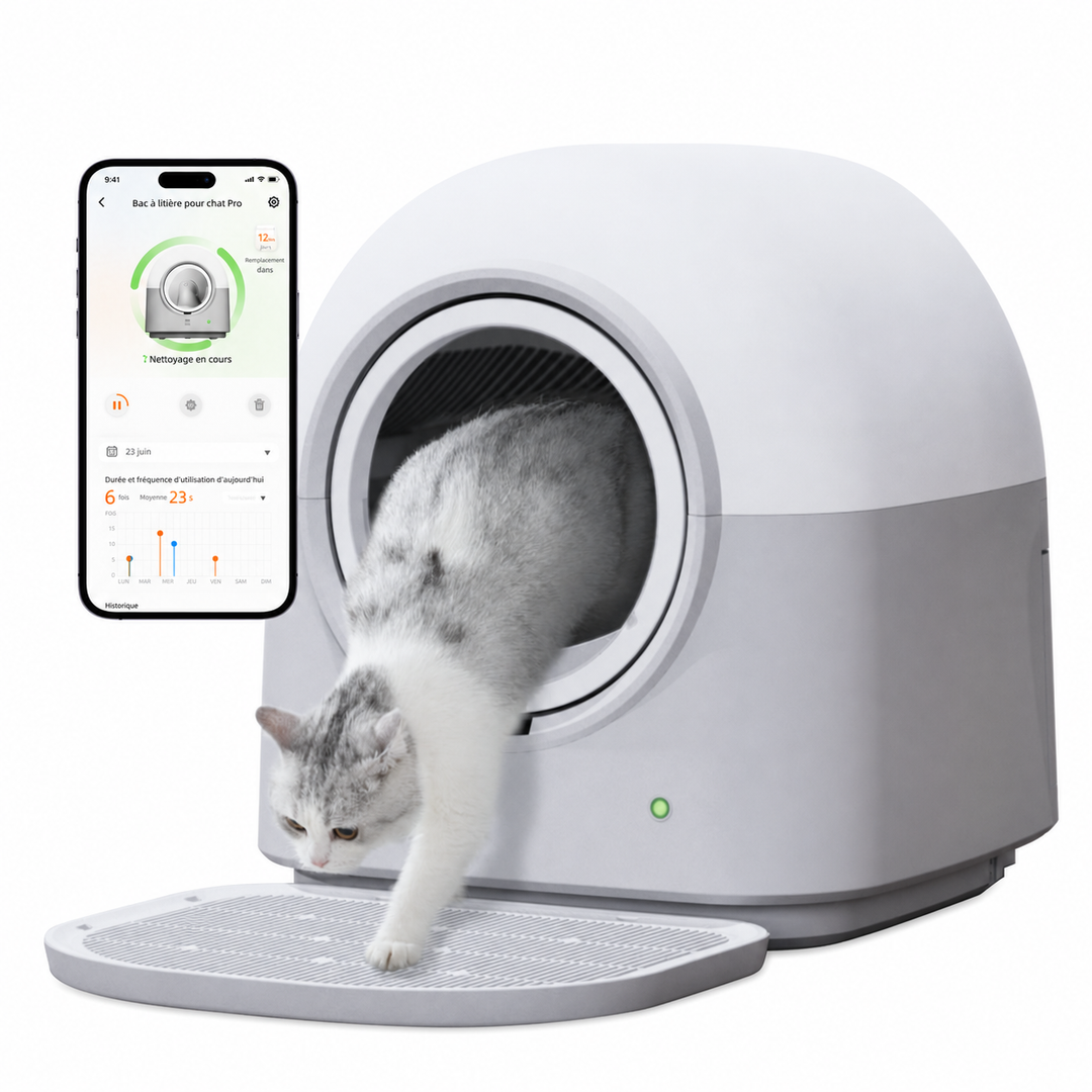 HHOLOVE Pro white product gallery FR 01