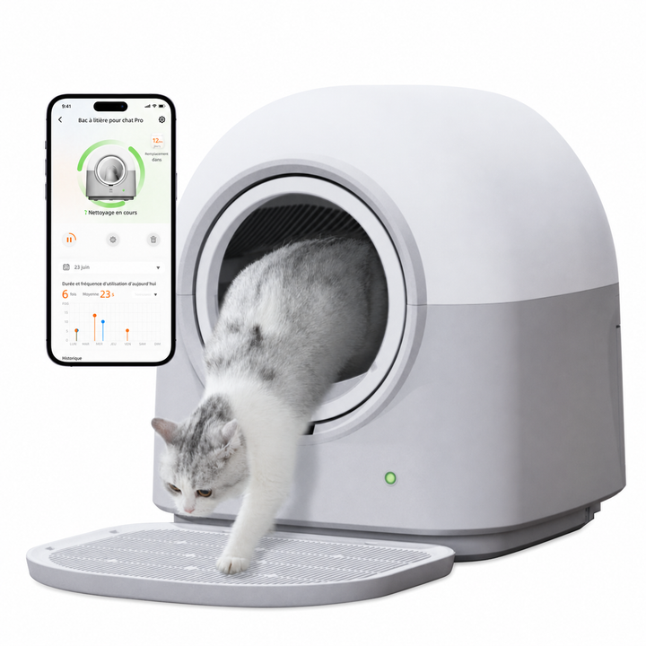 HHOLOVE Pro white product gallery FR 01