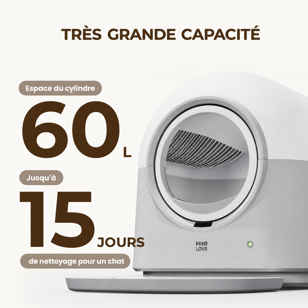 HHOLOVE Pro white product gallery FR 04