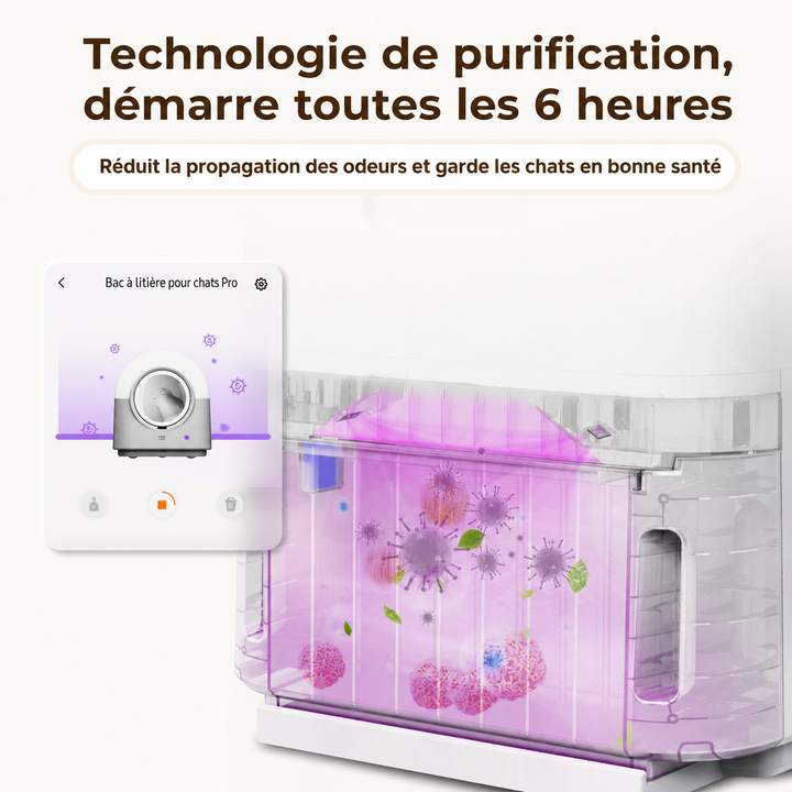 HHOLOVE Pro white product gallery FR 10