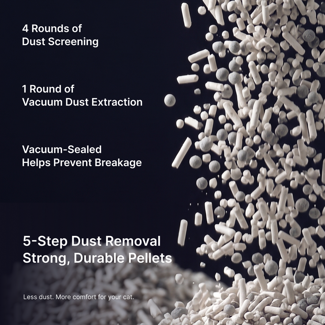 Five-step dust removal and vacuum-sealed packaging