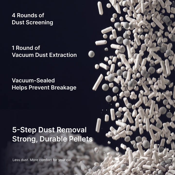 Five-step dust removal and vacuum-sealed packaging