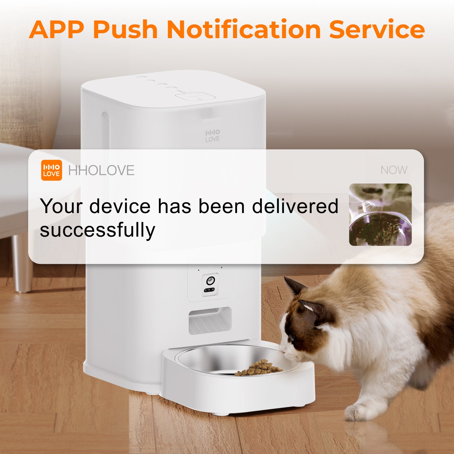 HHOLOVE Automatic Cat Feeder