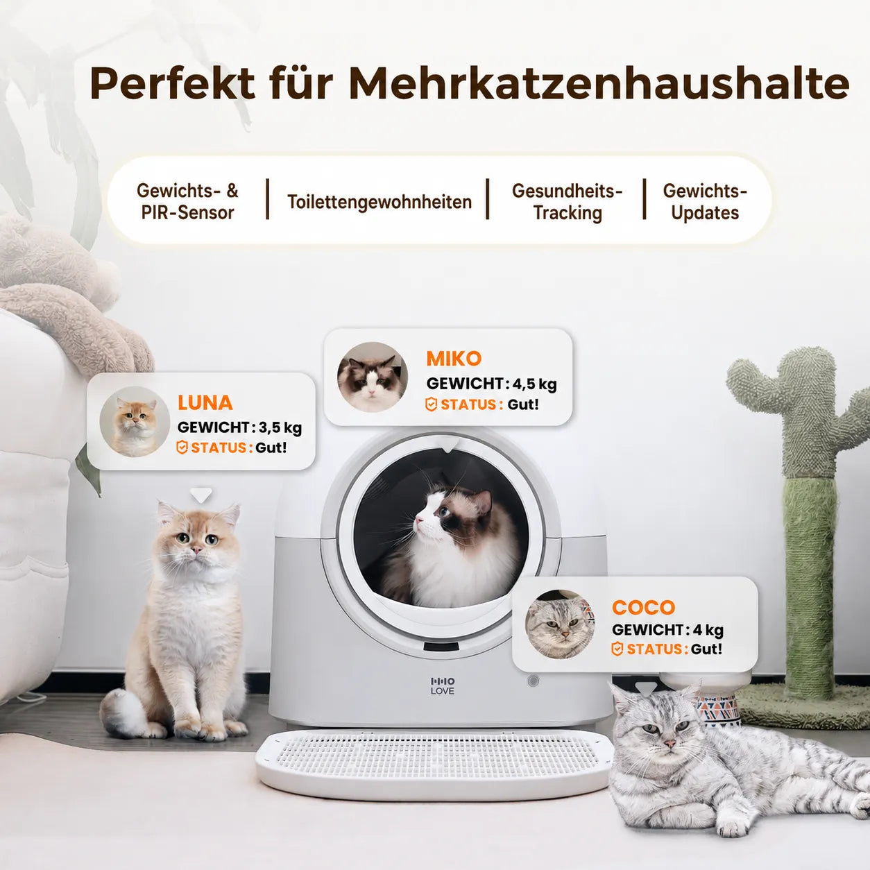HHOLOVE Katzenklo Selbstreinigend Katzentoilette Groß XXL