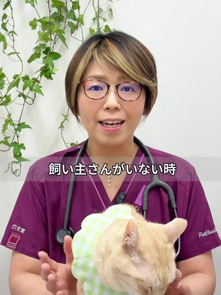 Dr. Fujii